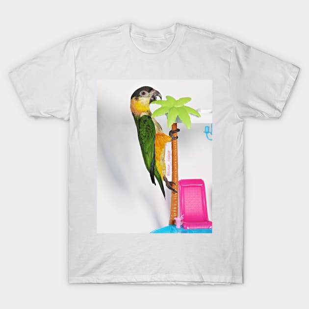 Big Birb T-Shirt by Coco_Caique